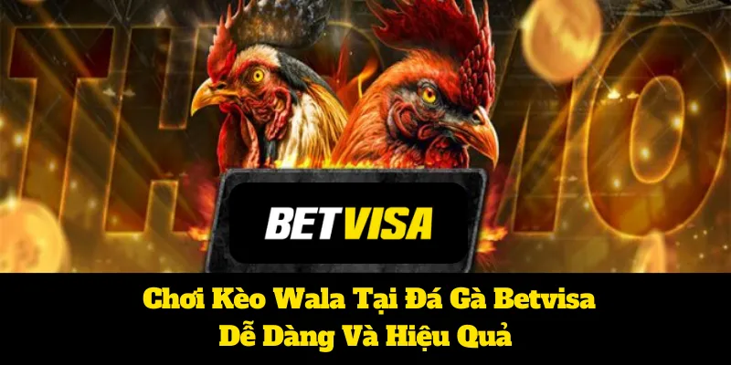   Chơi Kèo Wala Tại Đá Gà Betvisa Dễ Dàng Và Hiệu Quả